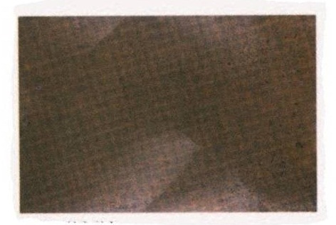 磁磚、金屬仿鏽銅磁磚