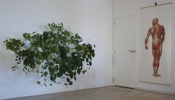 室內花園、植栽