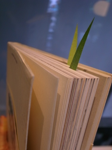 怎麼回事？草竟然會長在書本裡？NO！NO！NO！其實它不