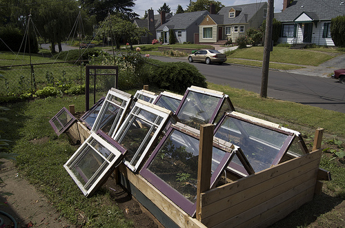 也許這次真的要說再見了，老窗子。你或你的鄰居終於得