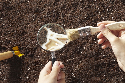 肥皂、盥洗用品、台灣製造