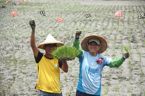 時序夏令，隱身於都市叢林的您，是不是好想遠離塵囂，