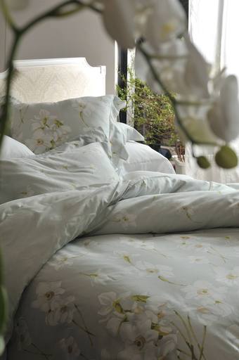 設計家,searchome,