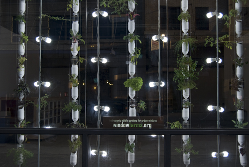 綠色水栽、環保、DIY