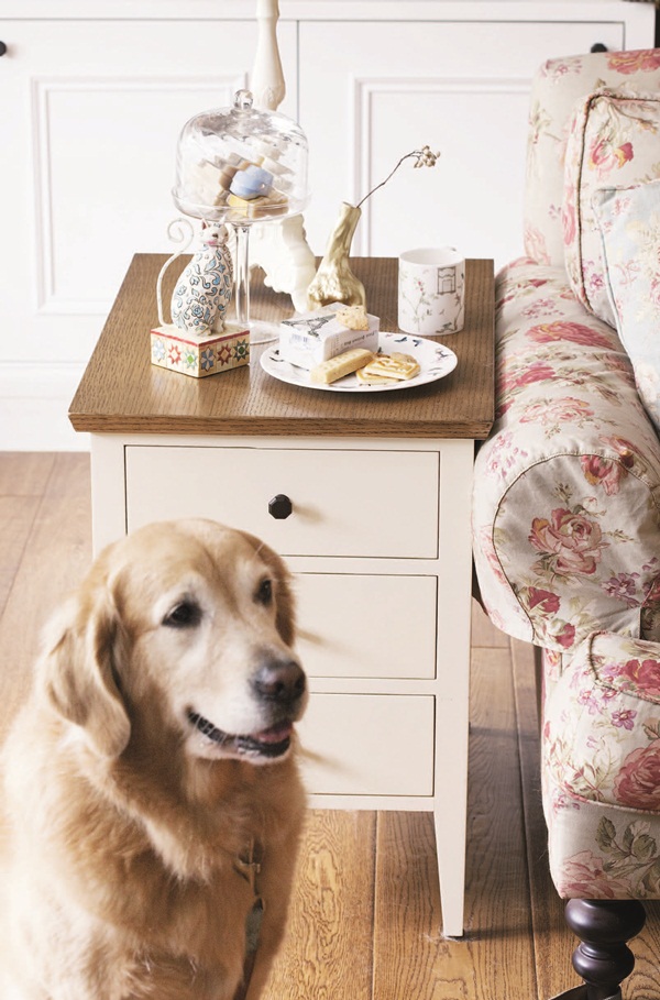 小動物及昆蟲的活潑朝氣，以及婀娜多姿、各式各樣盛開