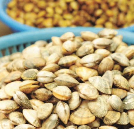 早上七點半走進環南市場採買漁獲，西班牙大廚Daniel說