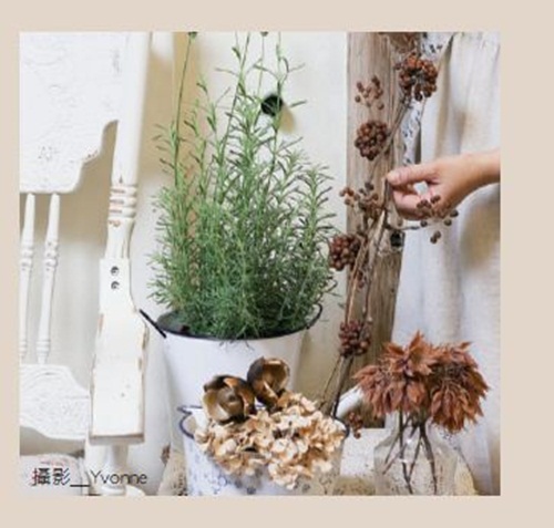 乾燥花、日式雜貨