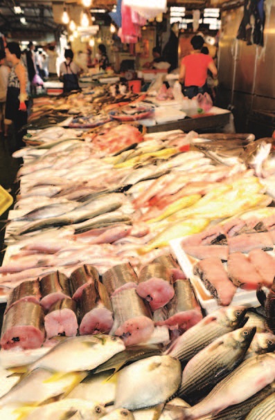 食材挑選、西班牙廚師、香料