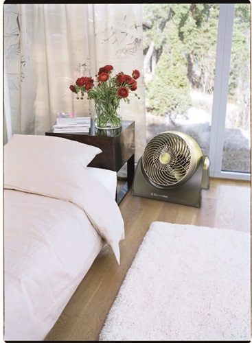 天氣愈來愈熱，市面上的風扇產品也紛紛出籠，除了一般