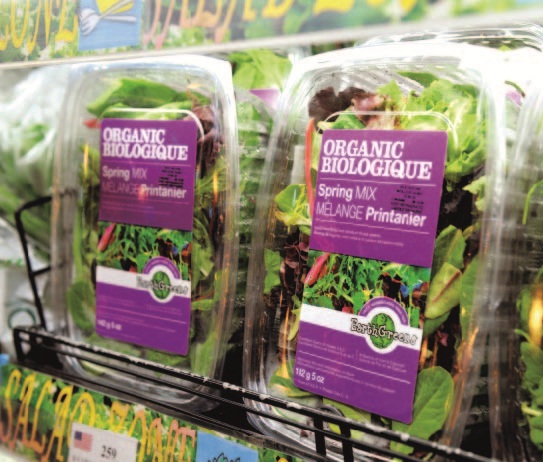 食材挑選、西班牙廚師、香料