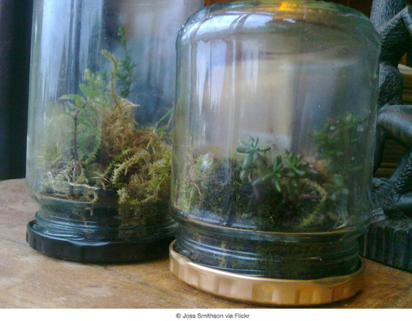 並非繁花盛開的季節裡，我們依舊渴望大自然！只需要準