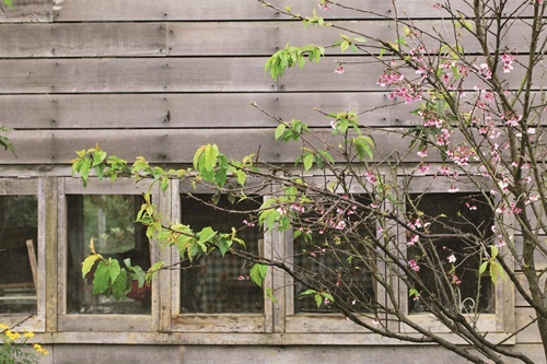 初次看見它，這座宛如方舟的「工寮」散發無以名狀的愛