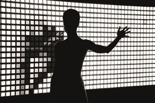 CCFL、OLED、燈泡