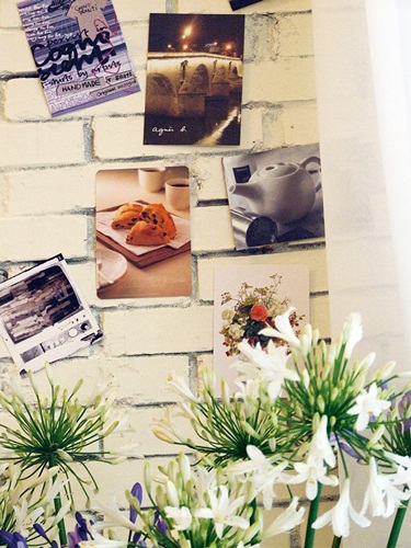 蘇小姐:「女生的家,除了應該要讓人聯想到『美』之外