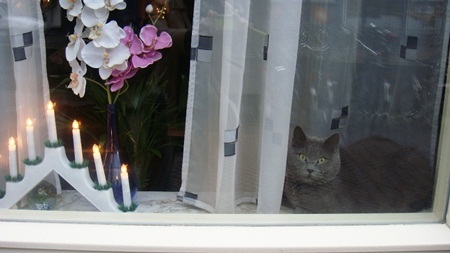 北歐設計、窗戶