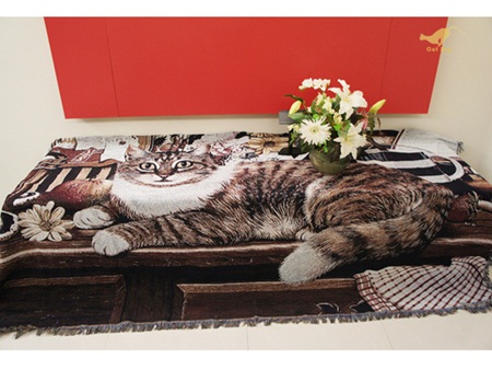 貓咪、家飾用品