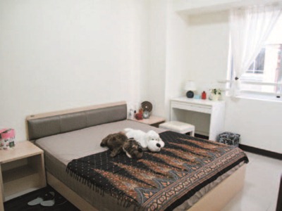 新的一年到來,除了收納清潔大掃除是重頭戲,新添家用