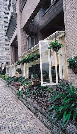 大門、廁所門、客廳沙發擺放位置