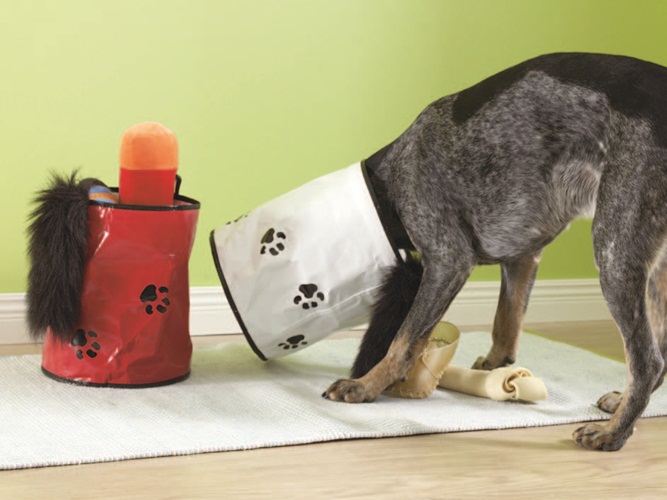 由於寵物在家中的地位提昇，幾乎已成為家庭成員的趨勢