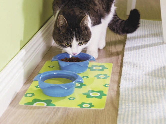 由於寵物在家中的地位提昇，幾乎已成為家庭成員的趨勢