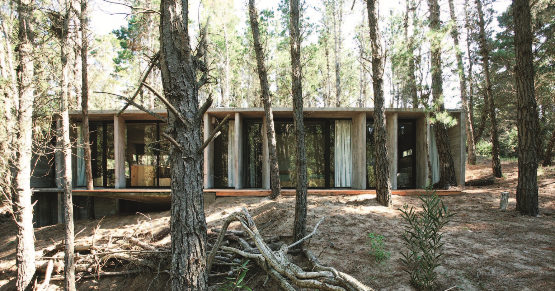 在森林裡擁有一間度假屋，是許多都市人的夢想，但是，