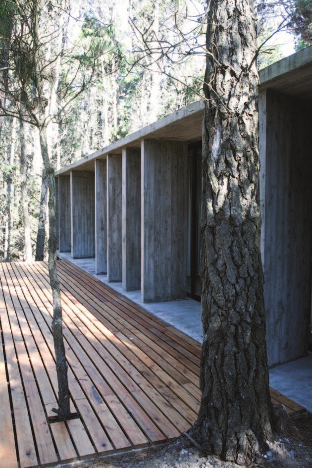 在森林裡擁有一間度假屋,是許多都市人的夢想,但是,