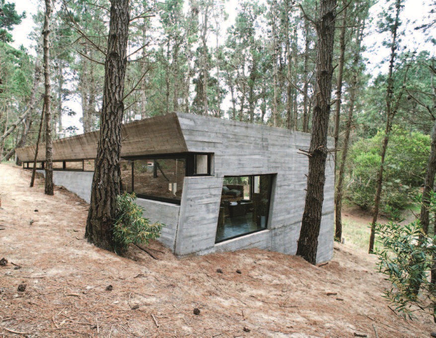 在森林裡擁有一間度假屋,是許多都市人的夢想,但是,