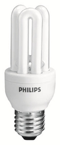 燈泡、白熾燈泡、省電燈泡