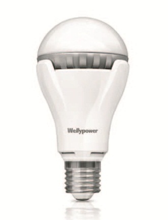 燈泡、白熾燈泡、省電燈泡