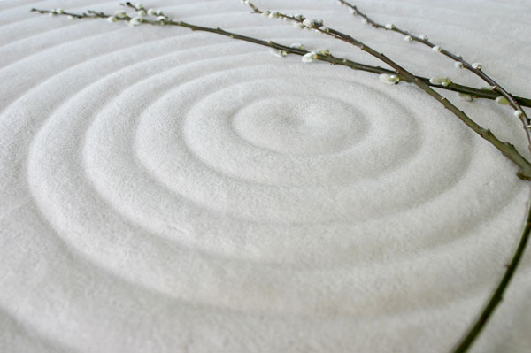 訪談記錄:風水、Sarah McAllister