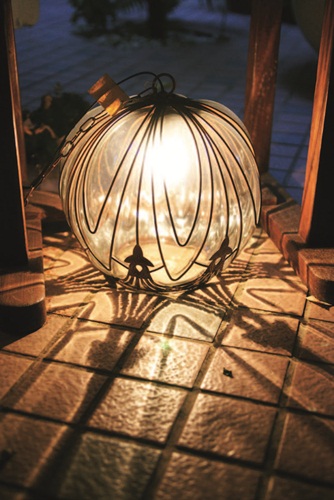 全球均有停用或禁產白熾燈泡的政策推行，台灣則訂於20