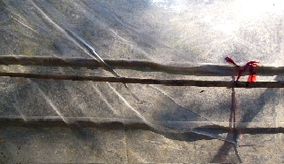 「70年代,摩洛哥北邊的海邊小鎮,年輕的旅客們、誤點