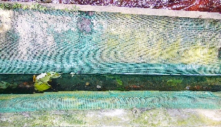 「70年代，摩洛哥北邊的海邊小鎮，年輕的旅客們、誤點