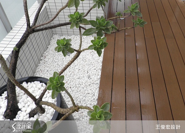 建材、低甲醛、歐規E1級、環保材、乳膠漆、南方松