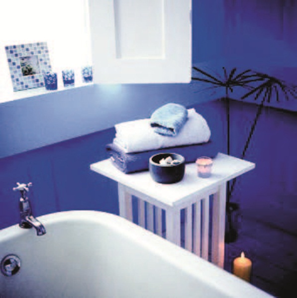 藍色在色彩學上屬於平穩且持久性的色彩,顏色本身具有冷靜、理智、沉靜、邏輯的特色,因此,當人處於藍色的環境中,便能引發出理智、沉思的情緒。若個性屬於比較好動、急躁的人,可以在空間裡加入藍色,有穩定情緒的作用。