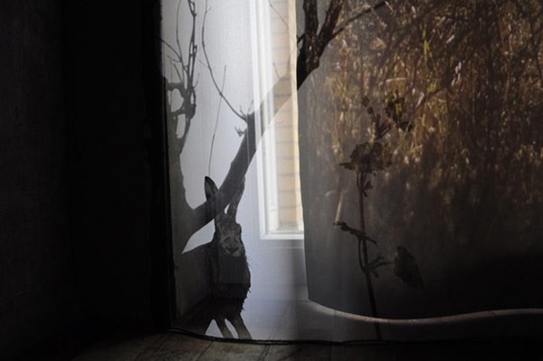 夢想擁有大自然環繞的窗景？荷蘭設計工作室Studio Eri