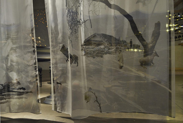 夢想擁有大自然環繞的窗景？荷蘭設計工作室Studio Eri