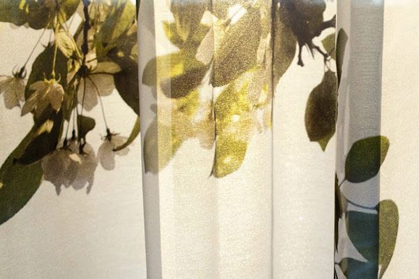 夢想擁有大自然環繞的窗景？荷蘭設計工作室Studio Eri