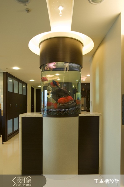 燈光、魚缸