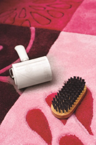 客廳是家中的門面,打掃得窗明几淨才能讓人一進門就擁有好心情。客廳需要清潔的部分主要可分為沙發、地毯、地板三大類,只要利用清潔劑和用具就能擁有一個乾淨如新的客廳。