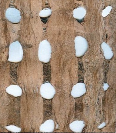 天然的草編、樹皮、回收紙漿的壁紙,運用純天然植物材