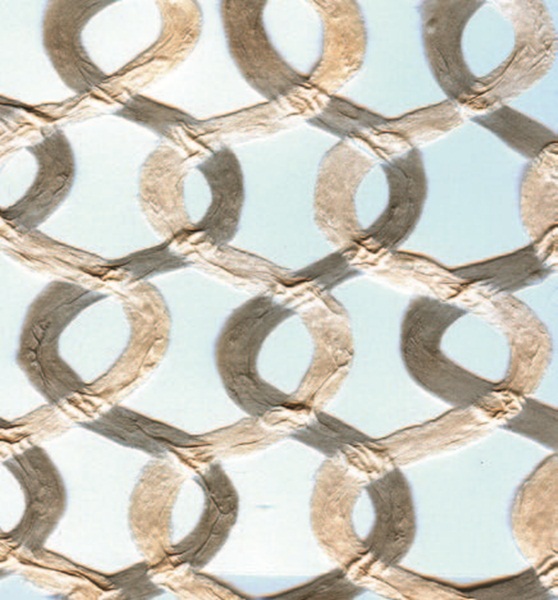 天然的草編、樹皮、回收紙漿的壁紙,運用純天然植物材