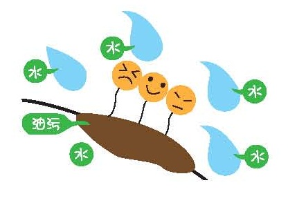 利用化學方式，改變污垢的結構與狀態，以利於帶離物體