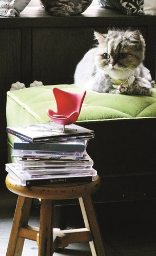 自10年前踏入陳列設計的領域，歷經百貨櫥窗設置、服裝