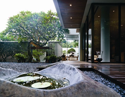 愛樹也愛木的屋主，對於植栽和木料的知識豐富，品味獨