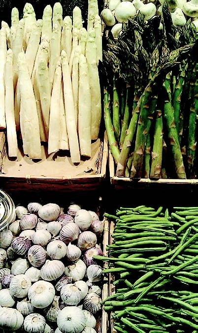 位於北歐,冬季與夏季日照時間差異極大的瑞典,嚴峻的