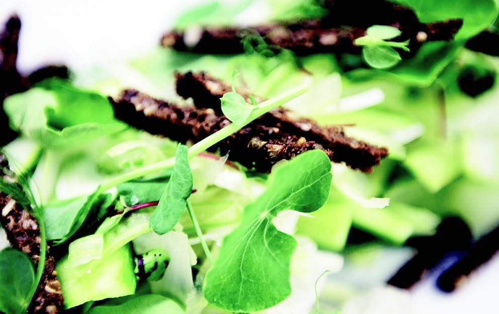 位於北歐，冬季與夏季日照時間差異極大的瑞典，嚴峻的