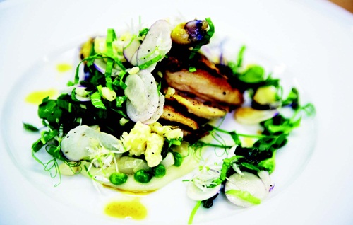 經過烘烤及燉煮的小春雞，柔軟又酥脆，再加上和著奶油