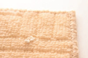 地墊上黏了許多頭髮與棉絮，如果不清除乾淨，反而讓家