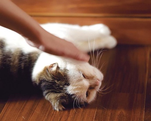 閱讀著游乾桂寫著與親子教養相關的文字「有位哲學家說